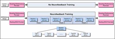 Efficacy, Trainability, and Neuroplasticity of SMR vs. Alpha Rhythm Shooting Performance Neurofeedback Training